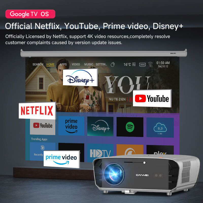 4K-Projektor für Google Smart  – Smart Garden Video Bewertung und Preis