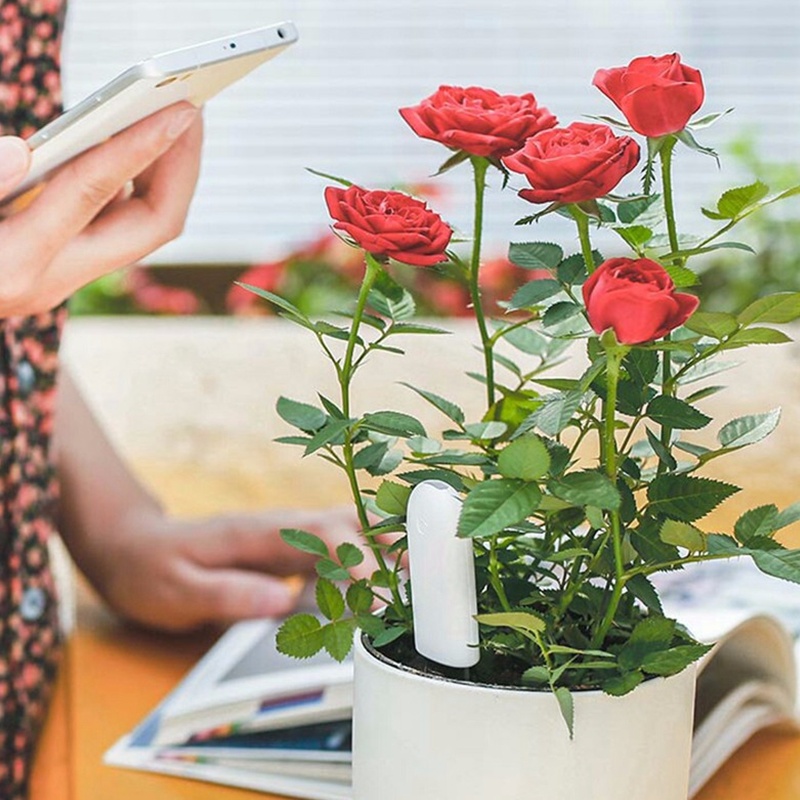 HHCC Blume Monitor Flora Garte – Smart Garden Water Bewertung und Preis