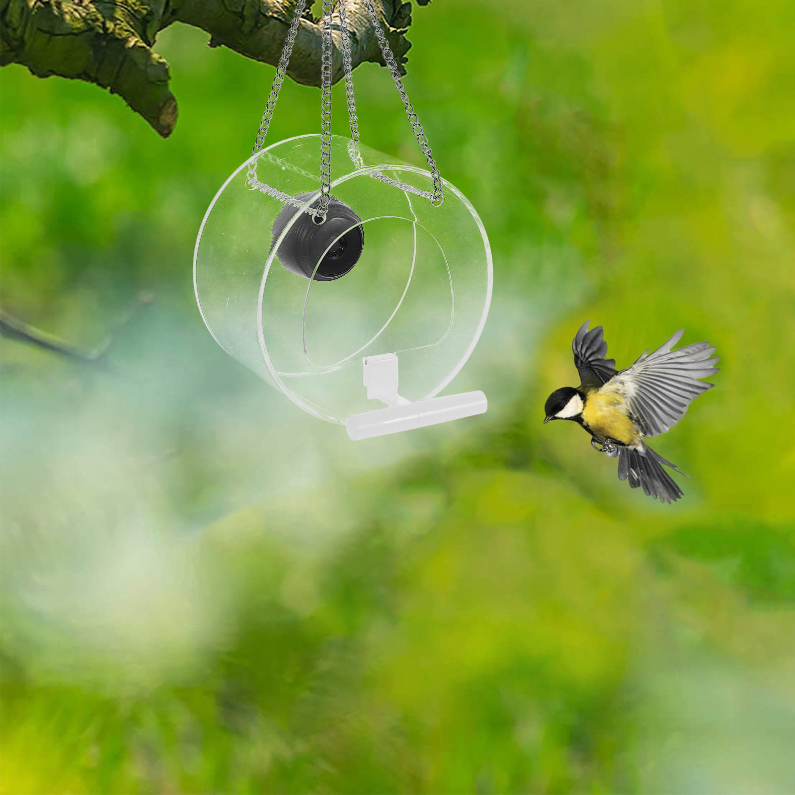 1 Stück Smart-Kamera mit Live- – Smart Garden Video Bewertung und Preis