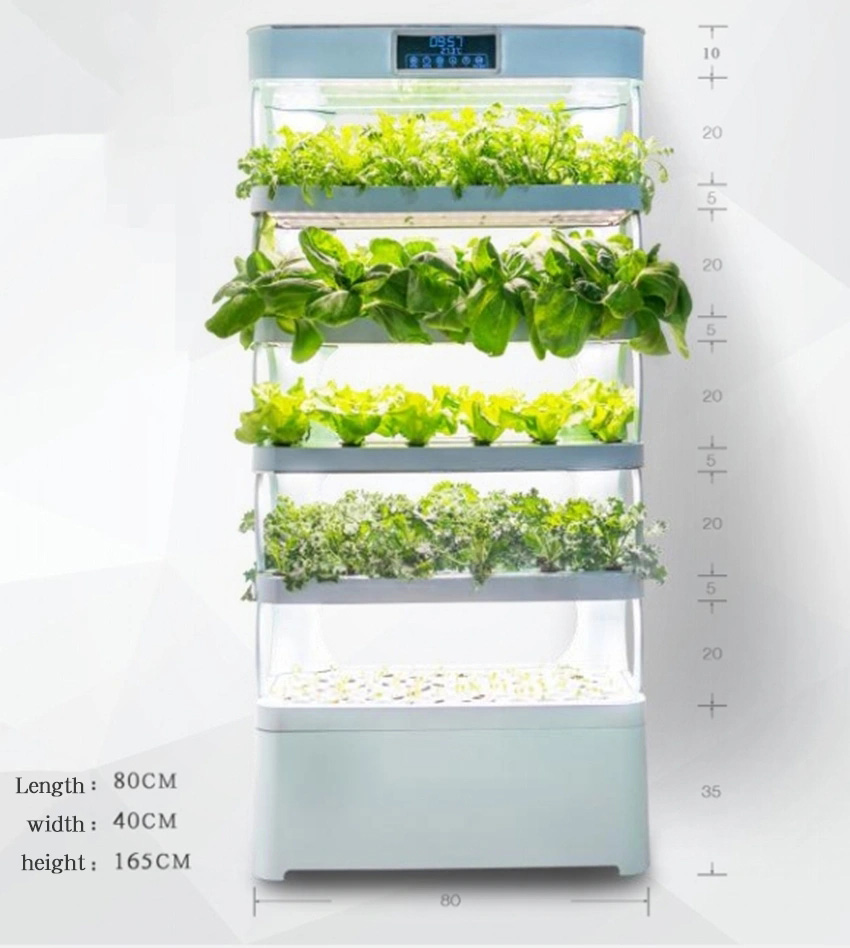 Arming Home Hydroponic Growing – Smart Garden Home Bewertung und Preis