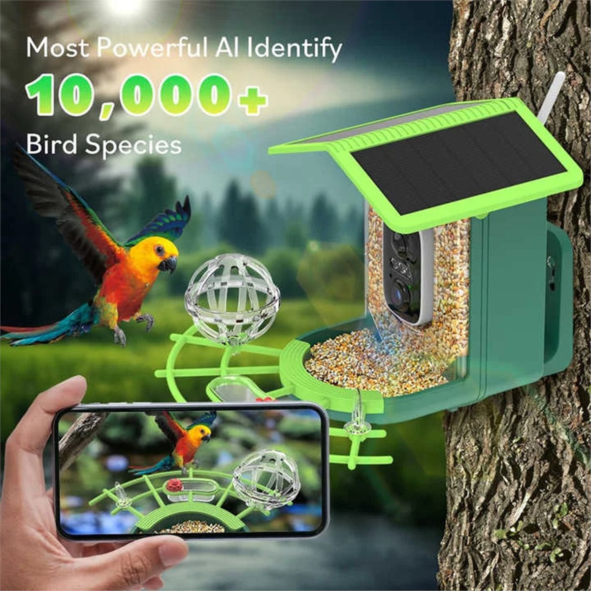 ABPP Intelligente Vogelfutterk – Smart Garden Video Bewertung und Preis