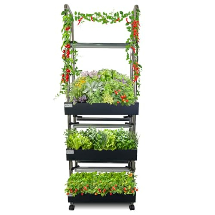 Indoor-Hydrokultur-Anbausystem – Smart Garden Water Bewertung und Preis