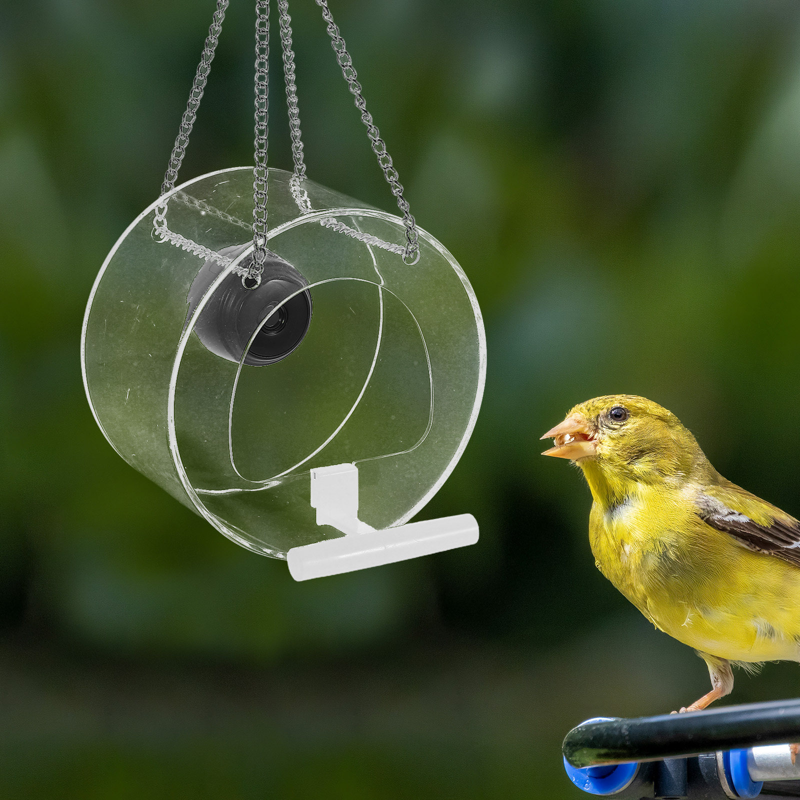 1 Stück intelligente Plattform – Smart Garden Video Bewertung und Preis