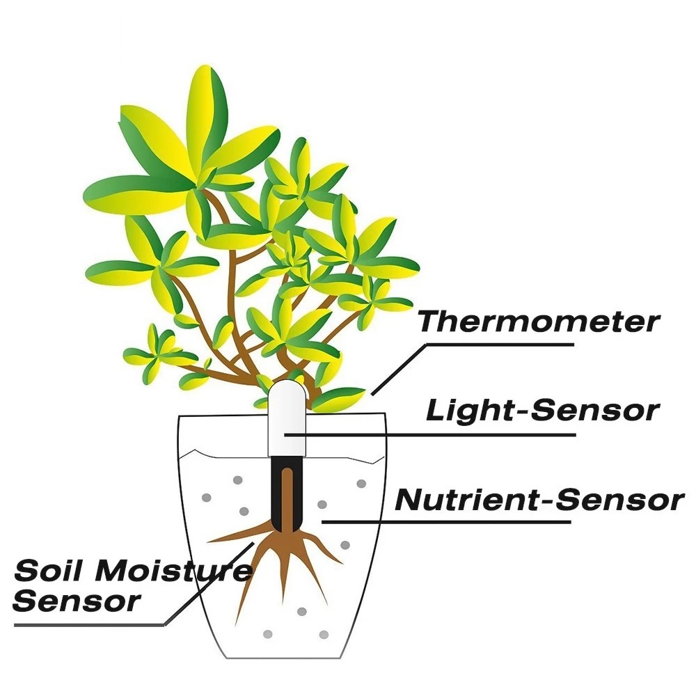 HHCC Blumenmonitor Flora Garte – Smart Garden Water Bewertung und Preis